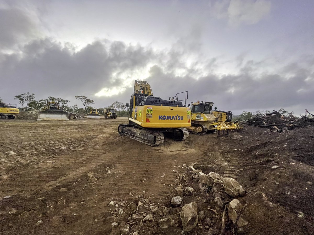 Roadkill Wallaby Reef Foundation 🌎💦🌴🦘🐨🦅🦇🐬 tweet media