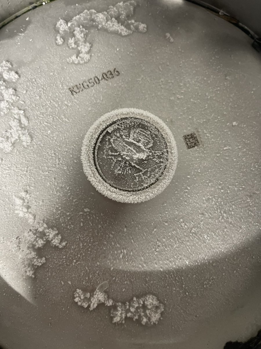 You know it’s freezing out there when even our keg cleaning process needs a defrost step! ❄️ Keeping things running smoothly, no matter how cold it gets. Stay warm, folks! 🧊🍺

#ColdWeatherBrewing #KegLife #BreweryLife #StayWarm #WinterVibes #CraftBeerLove #BeerCommunity