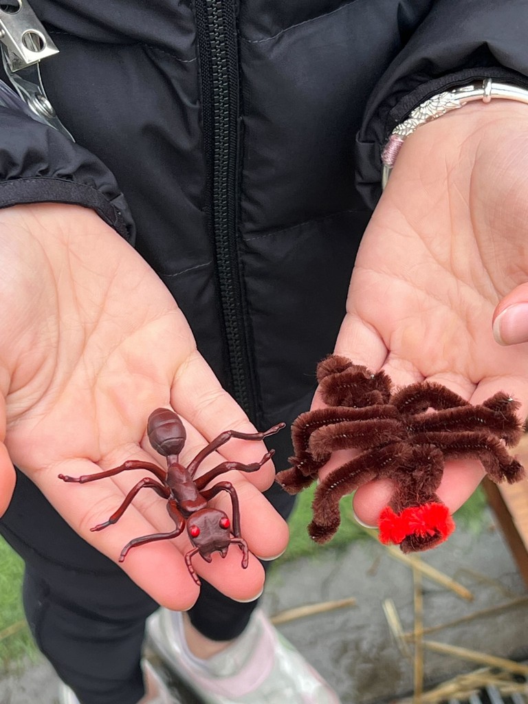 CommunityGrows tweet media