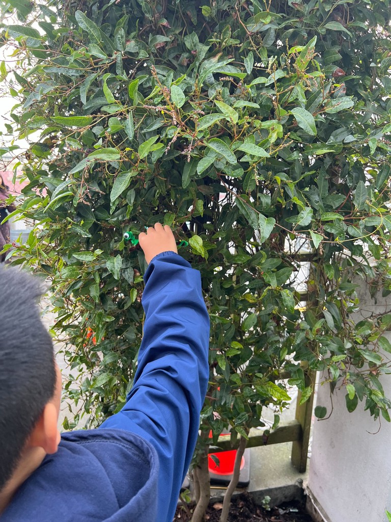 Our 3rd graders got creative making pipe cleaner critters that blend right into the garden! 🐛🌿 This fun activity teaches them about camouflage and how animals use it to survive in their natural habitats.  #GardenEducation #HandsOnLearning #CommunityGrows