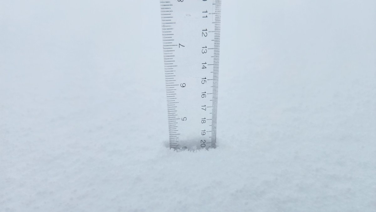 AMWWX's tweet image. 4.2" of #snow measured as of 2pm at the Ward Homestead. Moderate snow ongoing!  #txwx #phwx @NWSAmarillo