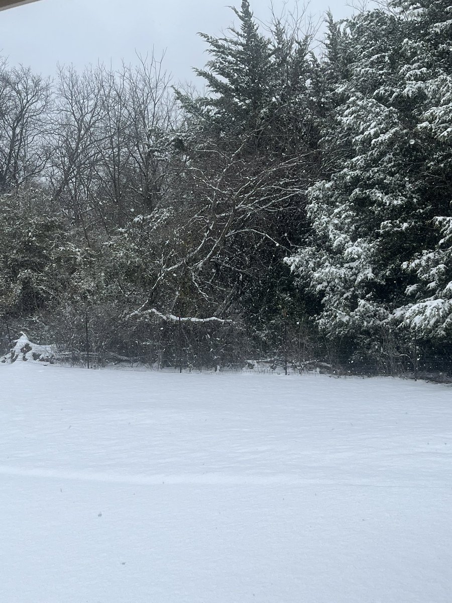 rymgray's tweet photo. ☃️🪽❄️🦢#snow #snowday #winter https://t.co/rnFYOXxqo1