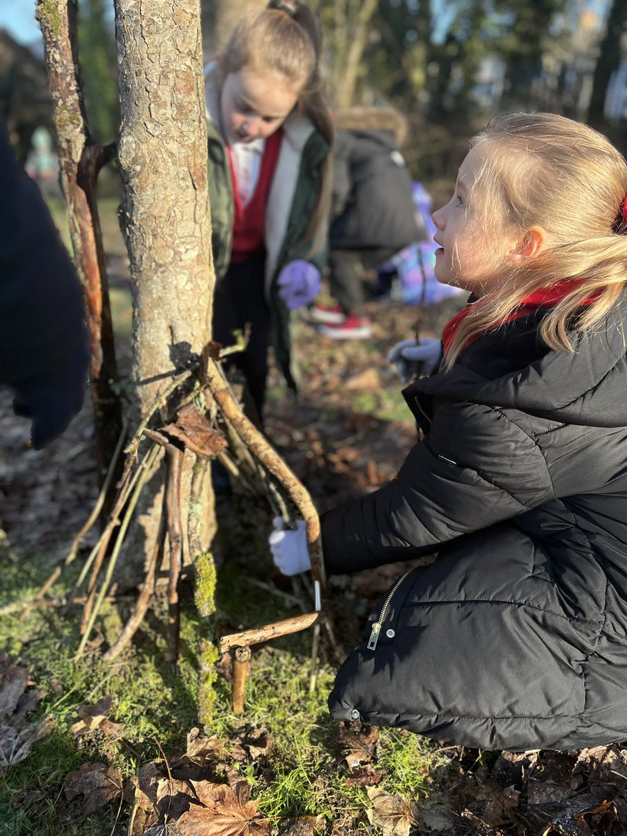 Aberbargoed Primary tweet media