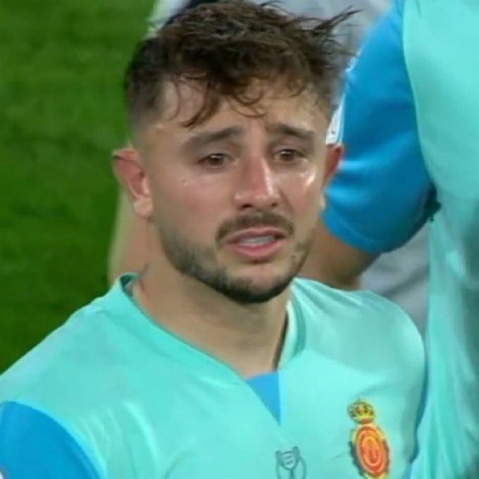 Perro ladrador poco mordedor JAJAJA