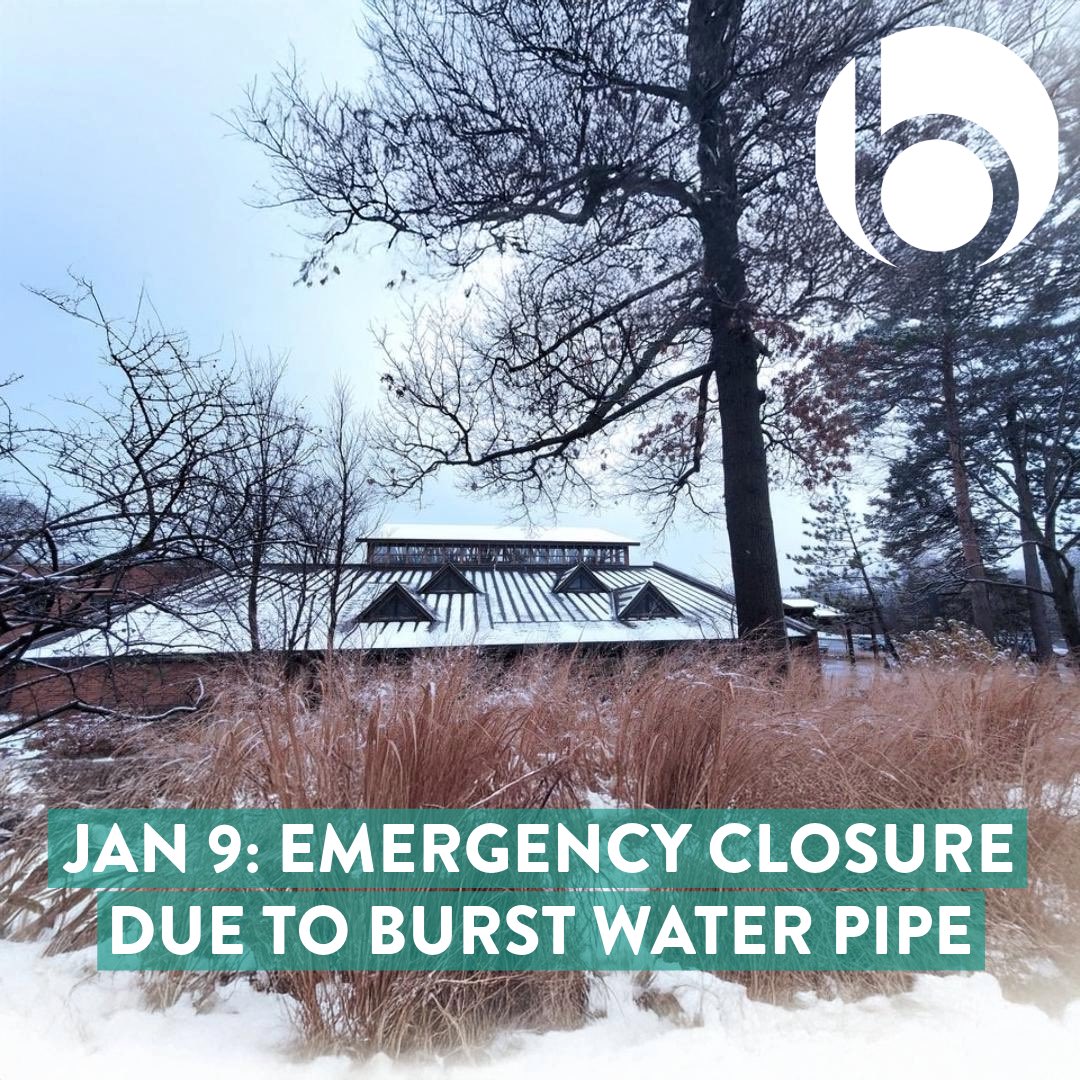 We are very sorry but due to a burst water pipe in the building, the Barrington Area Library has had to close today, Thursday, Jan 9, at 3 PM. We will keep you informed on when we are able to reopen. We do not anticipate being able to reopen today. Thanks for your understanding.
