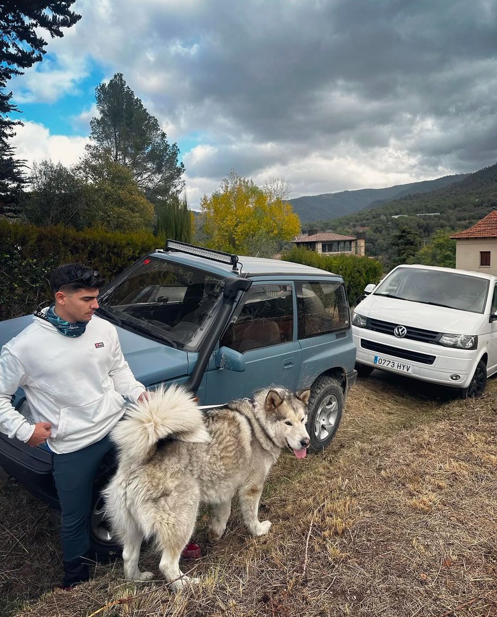 Adria tweet media