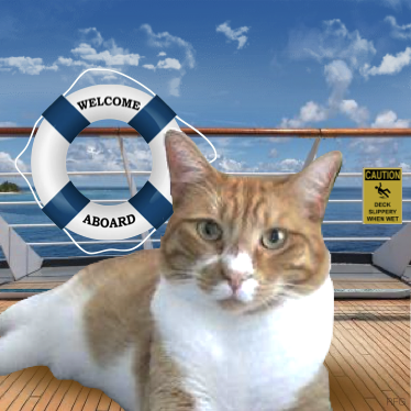 Hi Sky!  Welcome aboard! #Nipclub