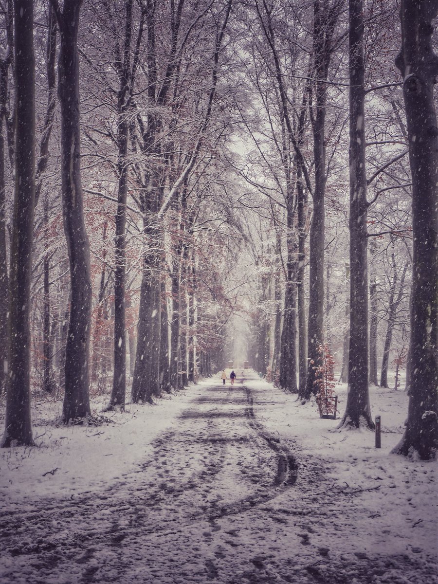 Nadineppictures tweet media