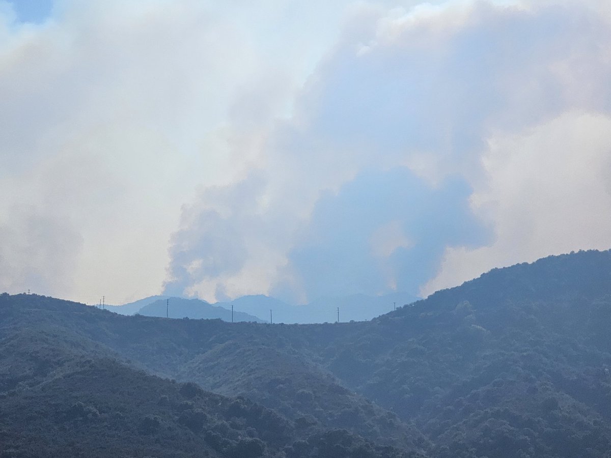 J. Mesh, AMS 🇺🇸 tweet media