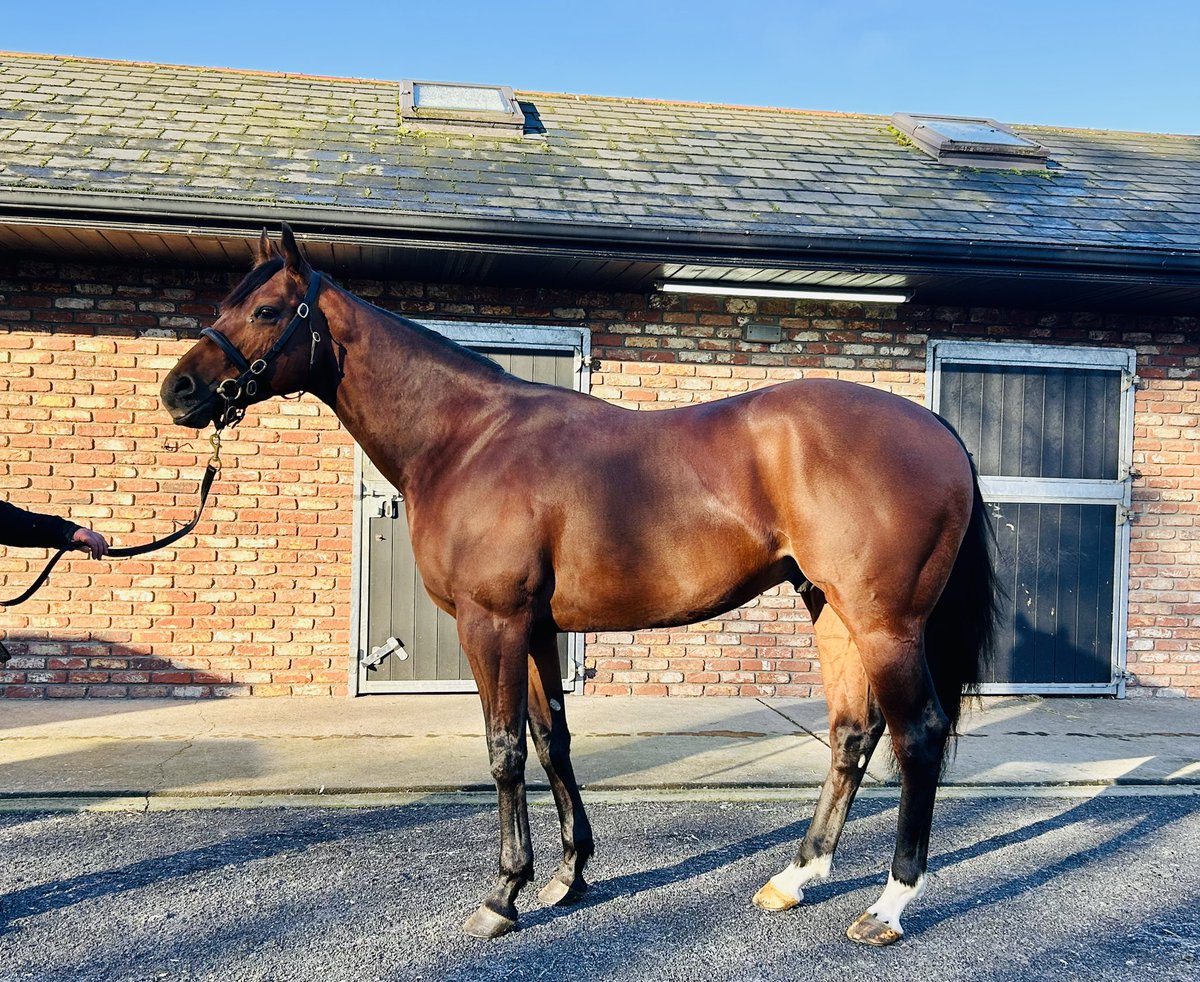 CompasStallions (@compasstallions) on Twitter photo We would โค๏ธ to welcome you for the <a href="/IREthoroughbred/">ITM</a> Stallion Trail ๐ฎ๐ช๐
<a href="/CompasStallions/">CompasStallions</a> ๐งญ๐ will be on show from 11.30am - 3.30pm Fri 10th & Sat 11th of Jan
Aesopโs Fables ๐
Dubawi Legend ๐
Far Above ๐
Galileo Chrome ๐ญ
King of Change ๐
Space Traveller ๐งโ๐
#safetravels๐ We would โค๏ธ to welcome you for the <a href="/IREthoroughbred/">ITM</a> Stallion Trail ๐ฎ๐ช๐
<a href="/CompasStallions/">CompasStallions</a> ๐งญ๐ will be on show from 11.30am - 3.30pm Fri 10th & Sat 11th of Jan
Aesopโs Fables ๐
Dubawi Legend ๐
Far Above ๐
Galileo Chrome ๐ญ
King of Change ๐
Space Traveller ๐งโ๐
#safetravels๐