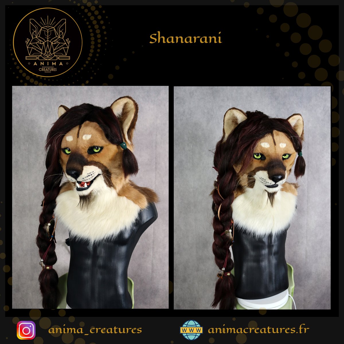 Anima Creatures tweet media