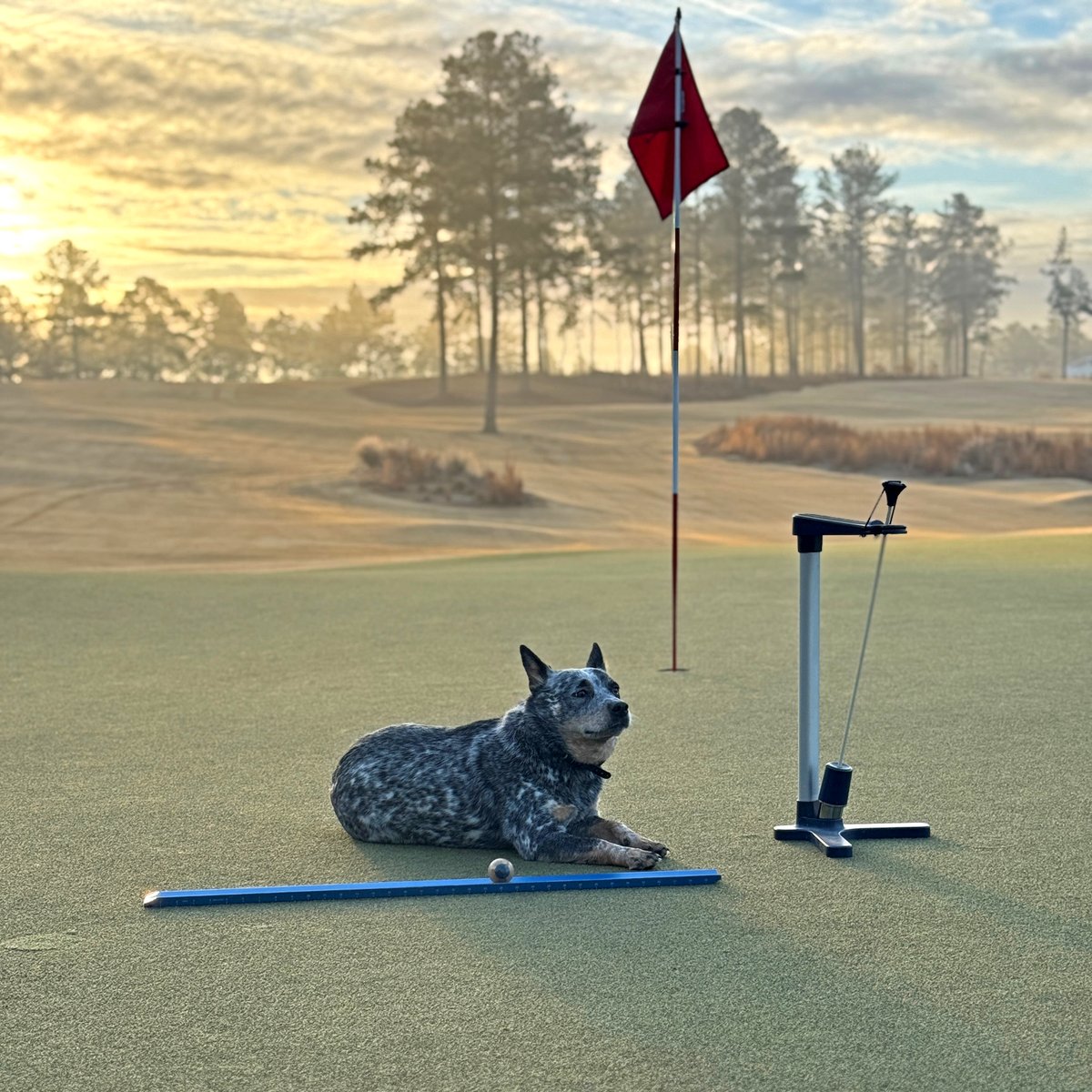 Roo is a big believer in using the GS3 to make data driven decisions about putting green management at The Tree Farm. 📸 <a href="/Rothturf/">Nick Roth</a>