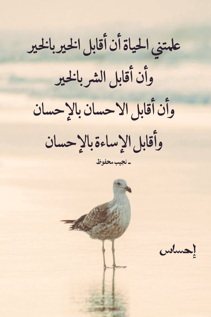 Yassir Hissein yacoub (@hissein_ya54384) on Twitter photo 