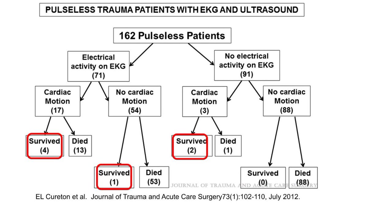 Brandon Morshedi, MD, DPT, FACEP, FAEMS tweet media