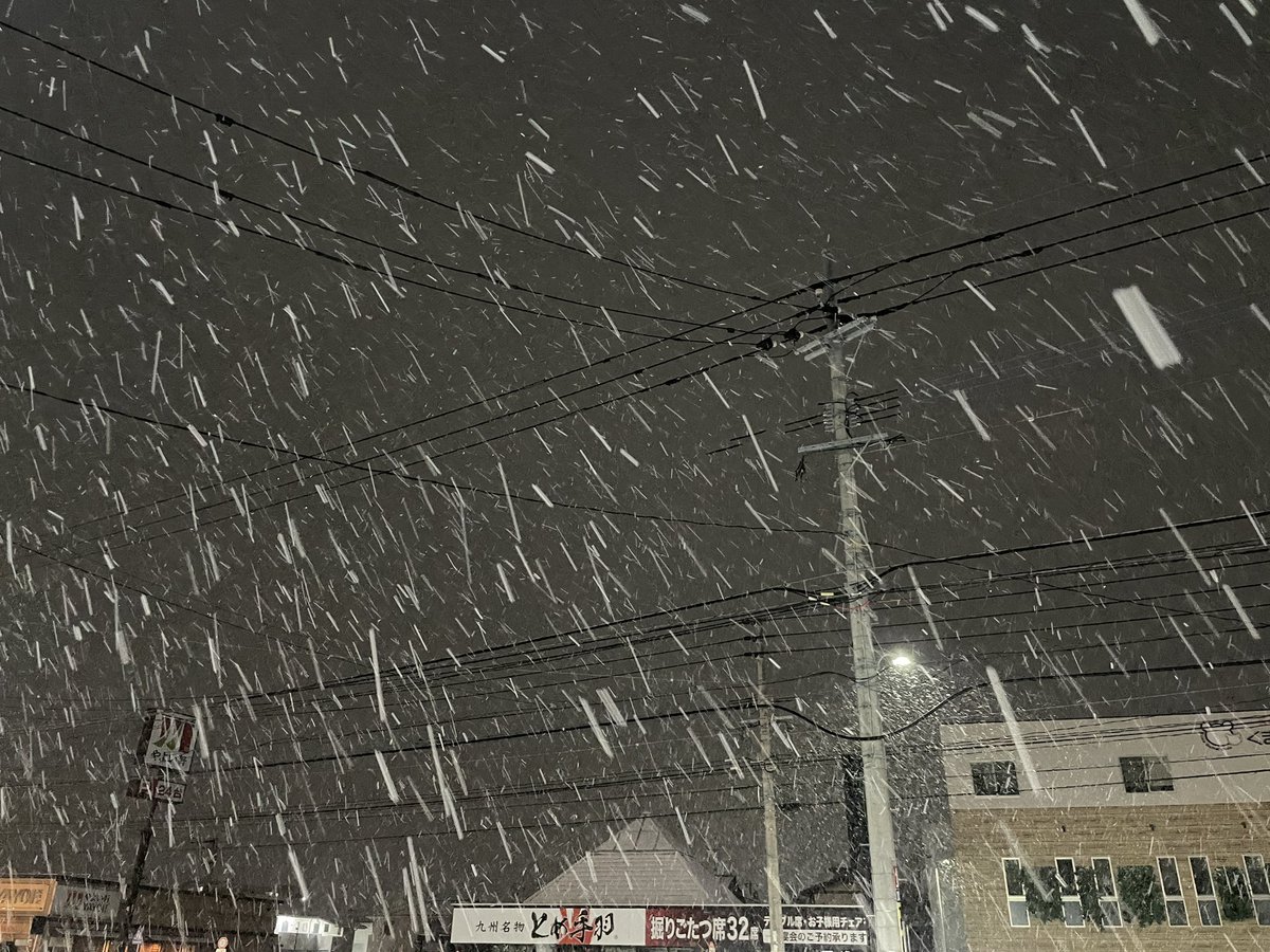 雪だぁー⛄️
九州じゃ雪なんて珍しいから、大半の人がノーマルタイヤなんよね…皆さん事故に気をつけて！
ワイは休みだから二度寝するわ🤣