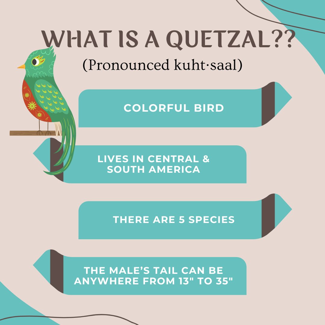 Jen Dodrill tweet media