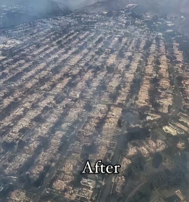 mjfree's tweet image. Heart breaks for this Palisades neighborhood. 
Fuck Trump.