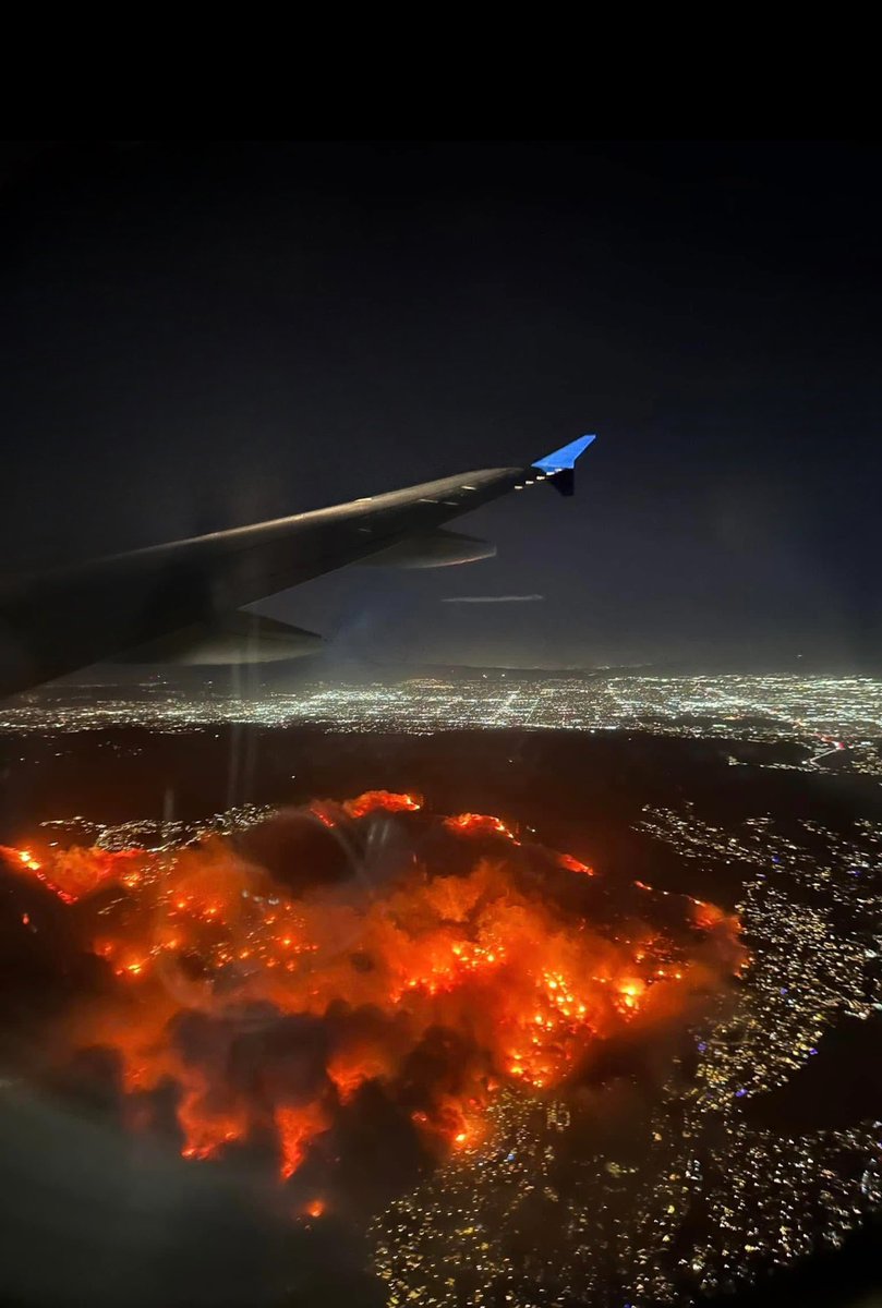 Lisa Kerney tweet media