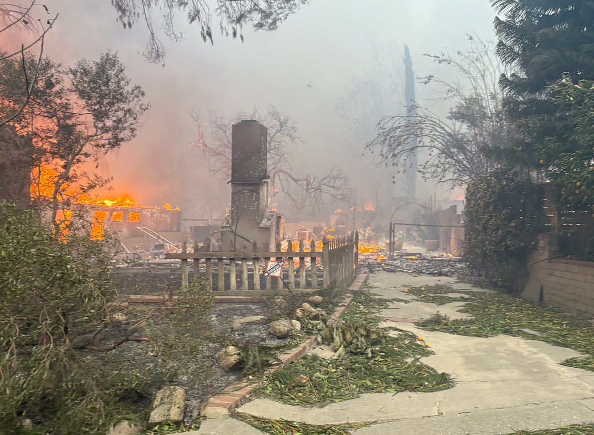 Meghan Daum tweet media