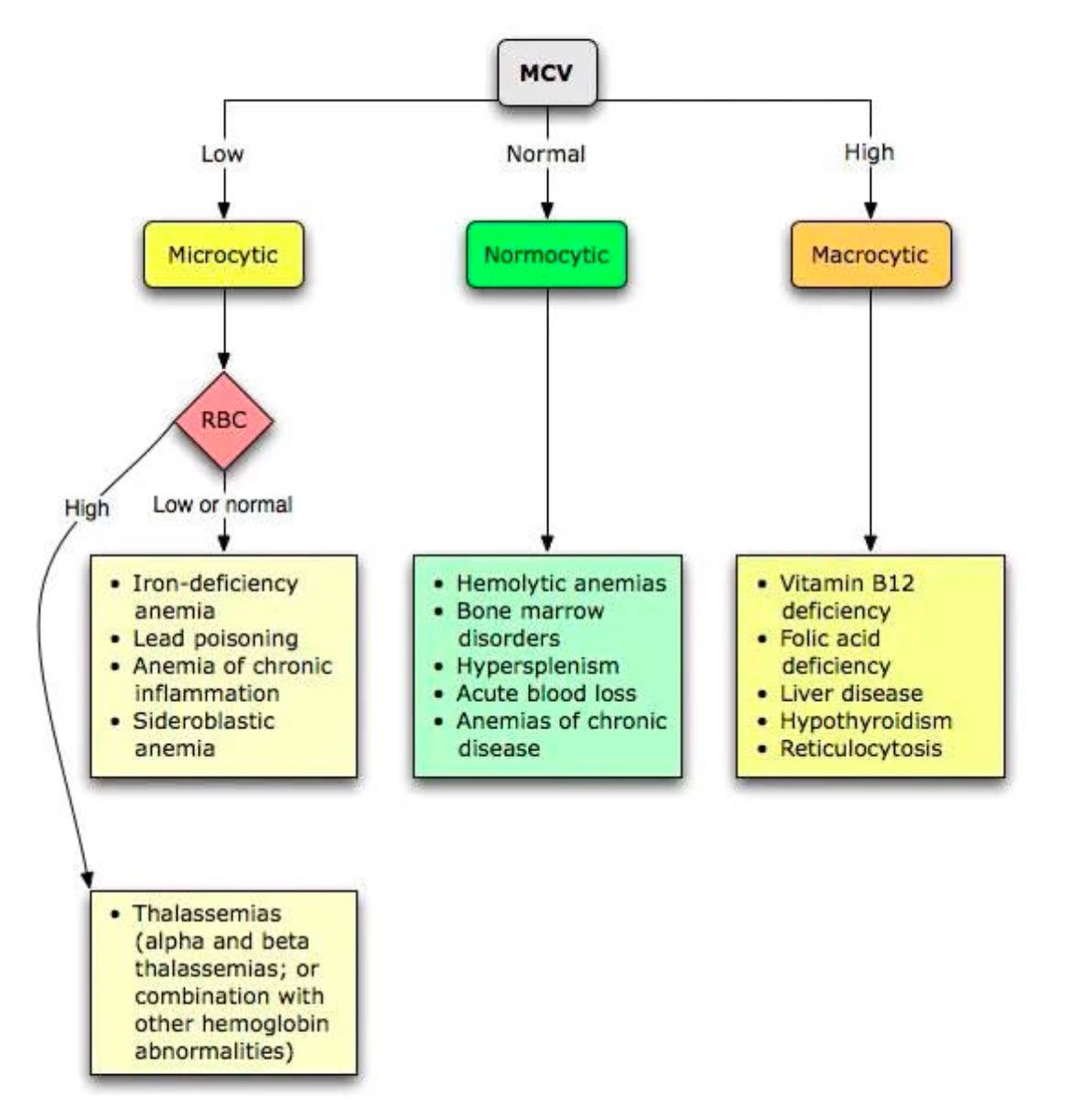 StarvingDoc (@StarvingDR) / Posts / X