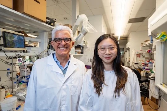 Rice Engineering and Computing (@riceengineering) on Twitter photo <a href="/RiceCEVE/">Rice University Civil & Environmental Engineering</a> researchers, along with collaborators from Guangdong University of Technology, have borrowed dialysis technology from the medical field to treat high-salinity organic wastewaters—a novel pathway that could reduce environmental impacts. bit.ly/4gErq9P <a href="/RiceCEVE/">Rice University Civil & Environmental Engineering</a> researchers, along with collaborators from Guangdong University of Technology, have borrowed dialysis technology from the medical field to treat high-salinity organic wastewaters—a novel pathway that could reduce environmental impacts. bit.ly/4gErq9P