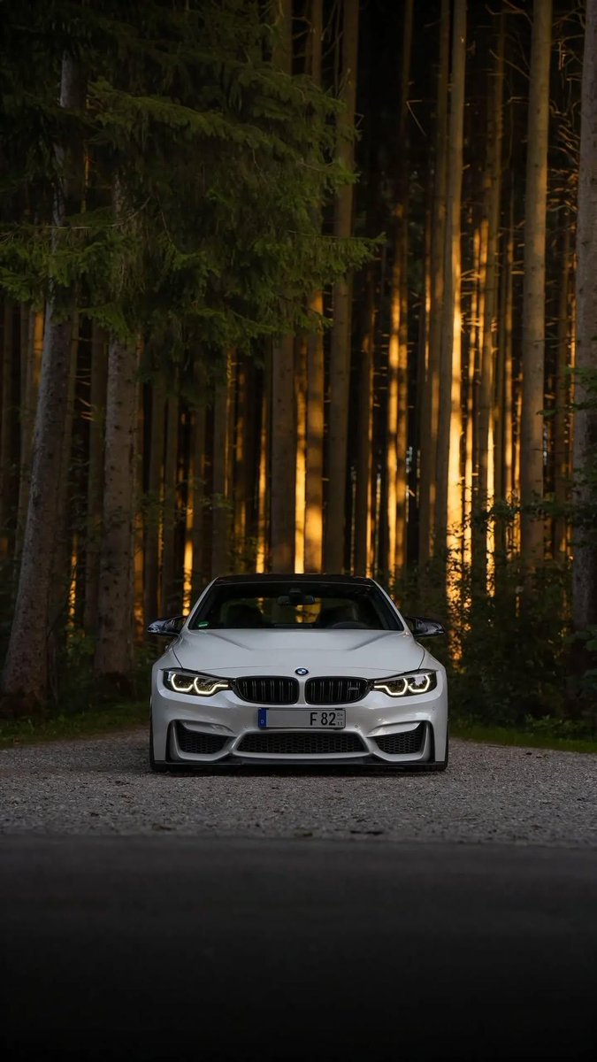 JasonXnl tweet media