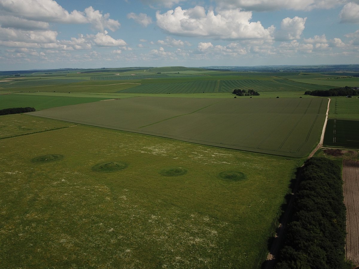 Part of the Bronze Age cemetery complex at Baltic Farm, Wiltshire