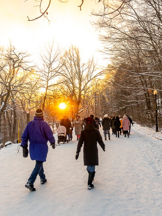 Montréal tweet media