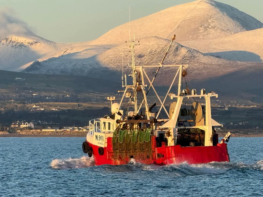 leslie campbell (@badger3336) on Twitter photo Nice photo from Andrew Kearney - Cowrie Bay in the shadow of the majestic Mournes <a href="/EdFishingNews/">Andy Read</a> <a href="/SkipperEditor/">The Skipper</a> <a href="/MarineTimesNews/">Mark Mc Carthy</a> <a href="/barrabest/">Barra Best</a> Nice photo from Andrew Kearney - Cowrie Bay in the shadow of the majestic Mournes <a href="/EdFishingNews/">Andy Read</a> <a href="/SkipperEditor/">The Skipper</a> <a href="/MarineTimesNews/">Mark Mc Carthy</a> <a href="/barrabest/">Barra Best</a>