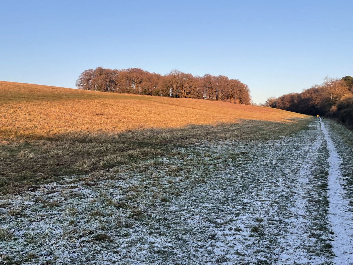 My version of nearly home trees - a long cold trudge up the hill but the ground in the sun was too slippery!
