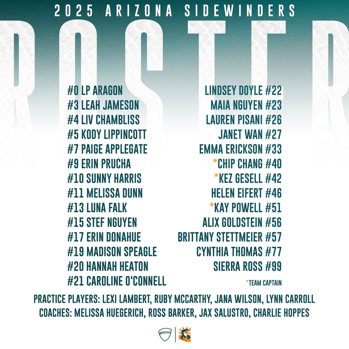 az_sidewinders's tweet photo. Mirror mirror on the wall, who’s the sexiest team of all?  😎
—
Introducing our 2025 Arizona Sidewinders! 🐍 https://t.co/GsYxNNLvQy