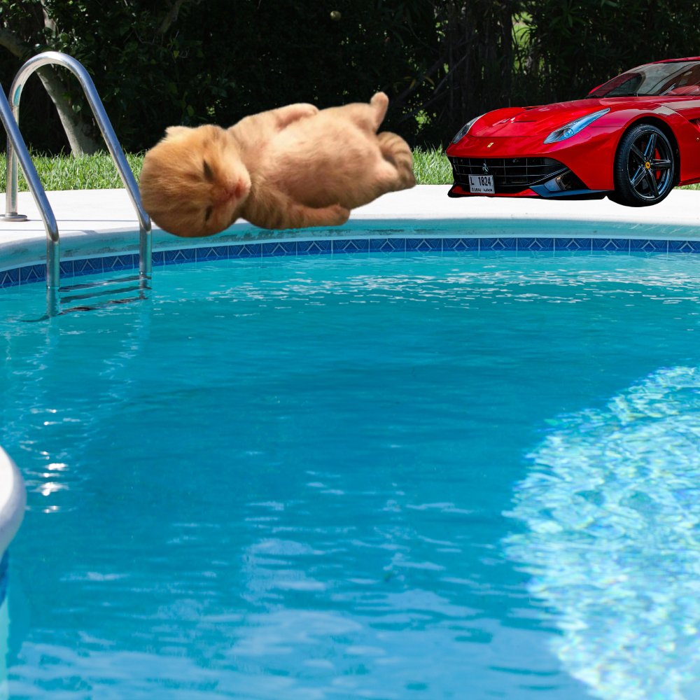 SolanaDCA's tweet photo. By the pool $DCA https://t.co/g1ixJGm6BW