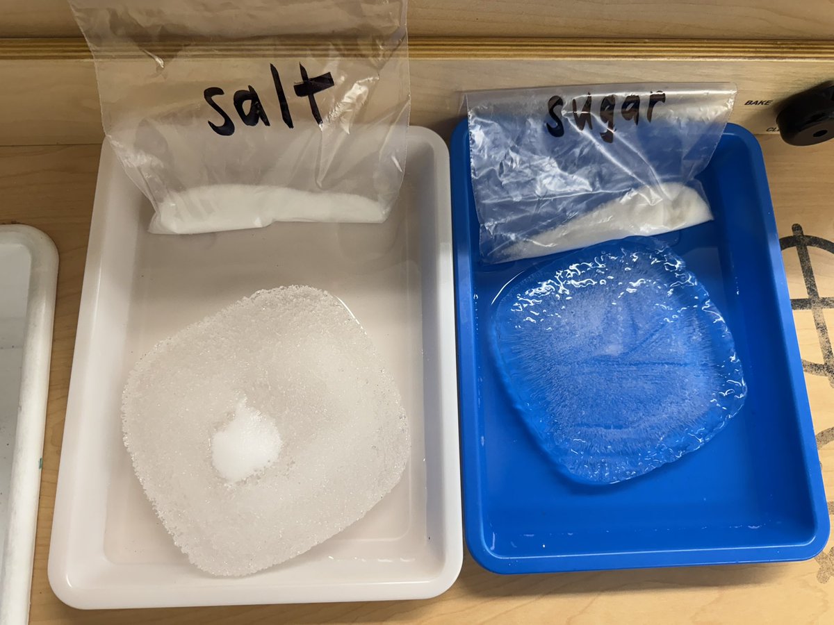 Yesterday in Pre-K, we conducted an experiment to see if sugar or salt will melt ice! We took a class vote, and most friends chose sugar! It turns out that salt melts ice the fastest! We had so much fun! 💙🧊❄️