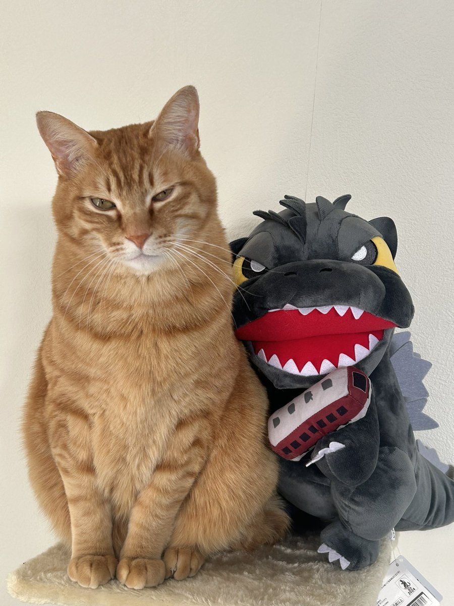 おはようございます😃

ゴジラとツーショット😃