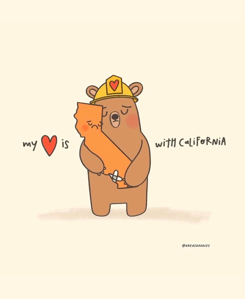 Comfort Bears tweet media