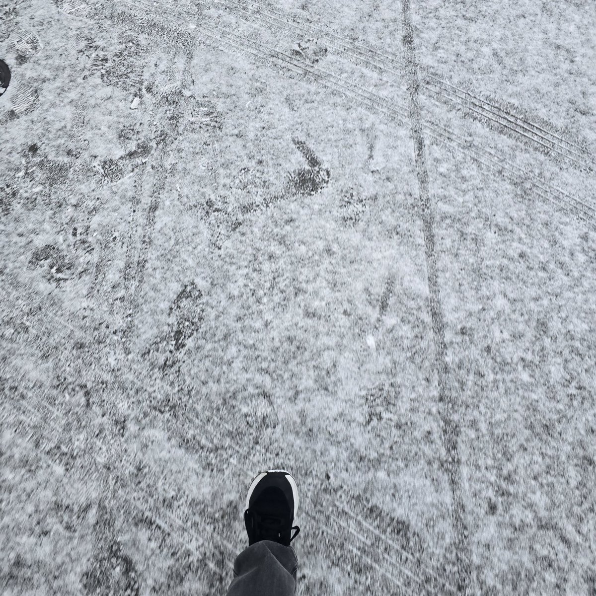 雪中行軍してる、褒めて❄