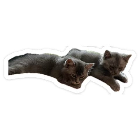 angyts.eth 🦇🔊 🏴💣🔮 (🌸, 🌿) tweet media