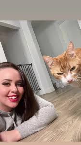 Margaret ava (@opeyemiola75105) on Twitter photo 