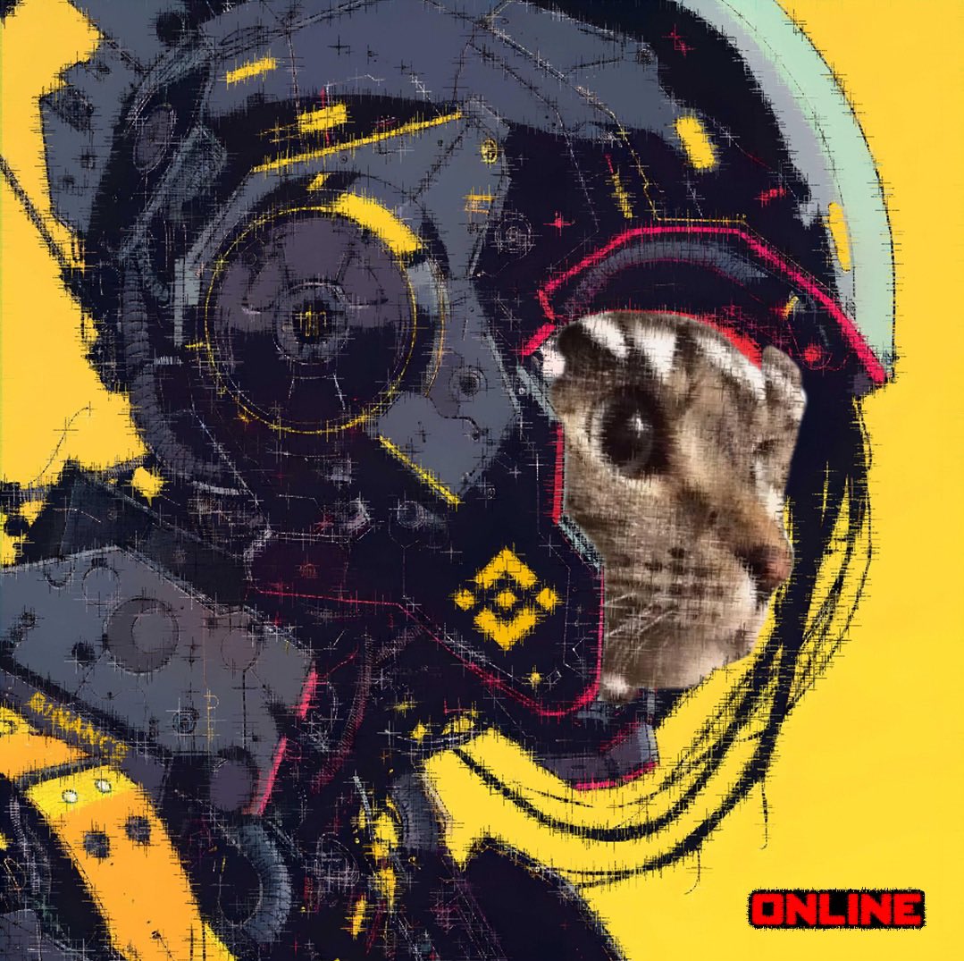 shark cat singularity