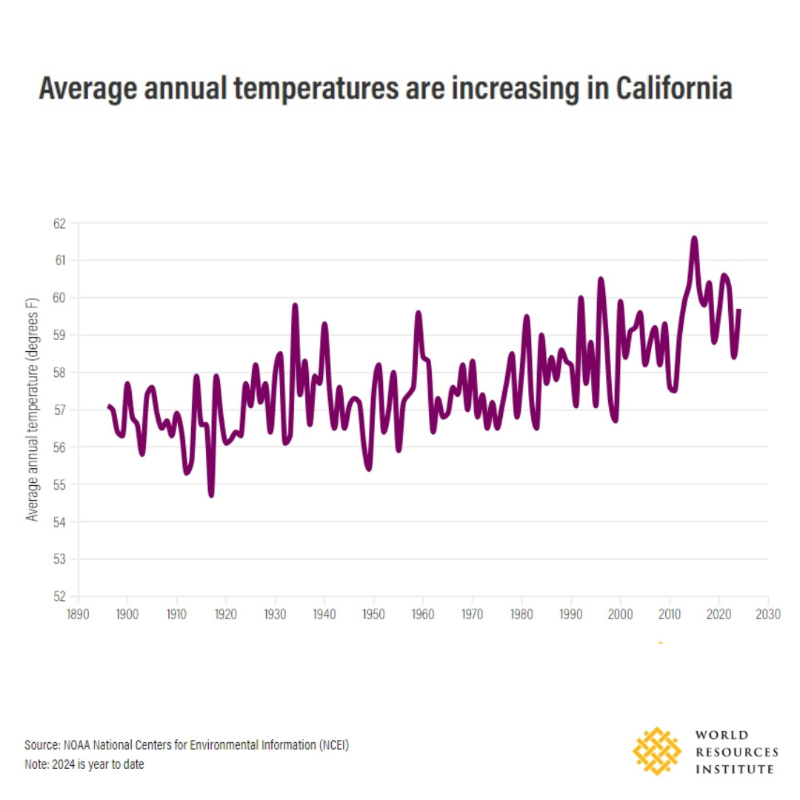 WorldResources's tweet photo. 🔥The Palisades fire is already the most destructive fire in Los Angeles County history.

Data on WRI's @globalforests platform shows just how uncommon L.A.'s current fires are, and how fire trends are changing as the planet warms▶️ https://t.co/sNgDnsJv2I