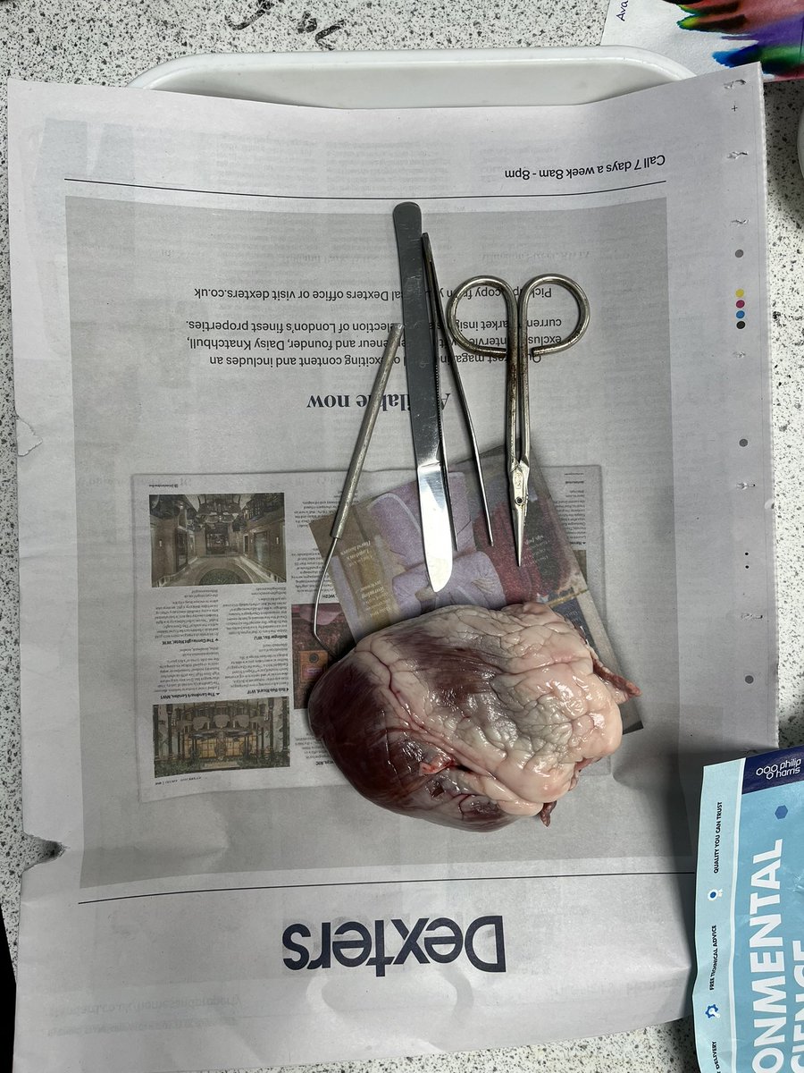 The Adeyfield Academy PE department tweet media