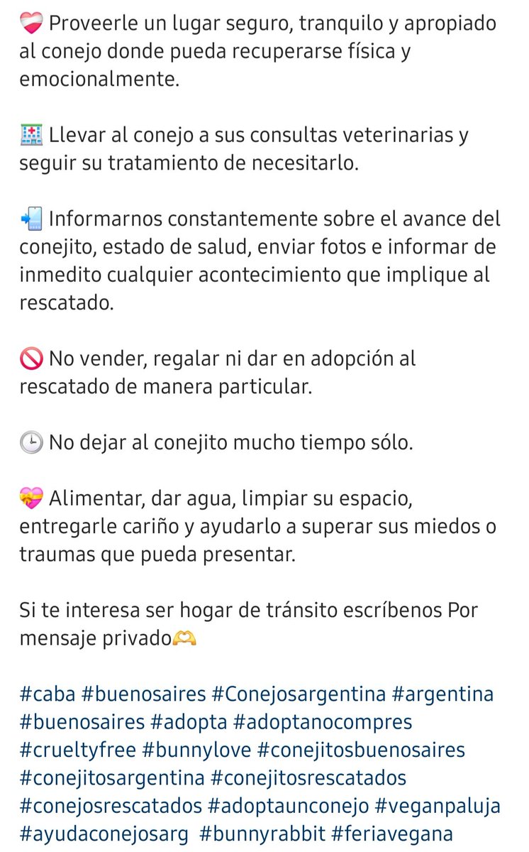 __roma's tweet image. #Conejitos  #Tránsito #HogaresTemporales🐇👇🏻👇🏻👇🏻👇🏻👇🏻