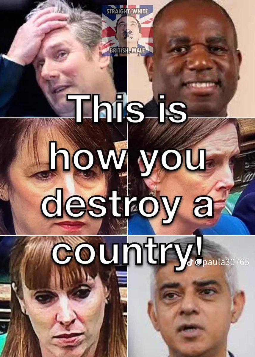 Devonian Bullterrier (@sheikhanvkah) on Twitter photo 