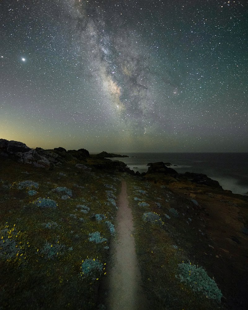 James Piper tweet media