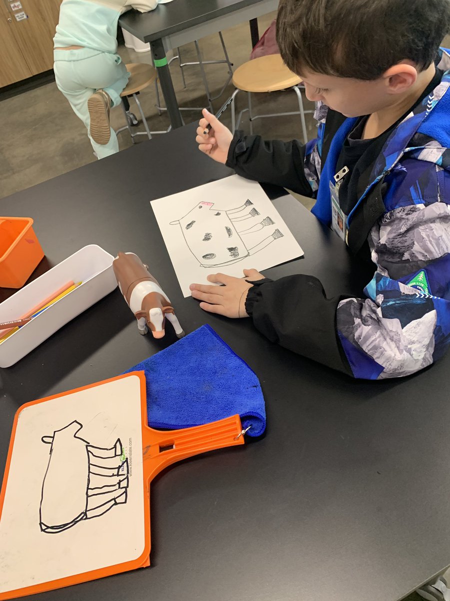 Sara Allen tweet media