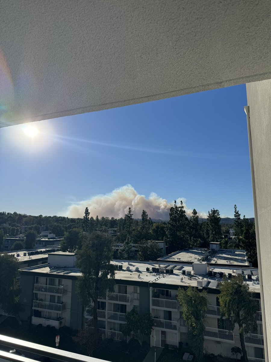 Whit Kane tweet media