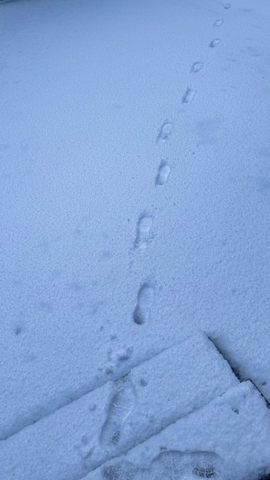 Twitterのコスプレ画像16