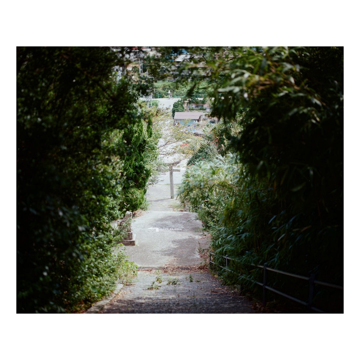 pleasure2004's tweet photo. #mamiyarz67
#kodak
#yousawscenes https://t.co/c4ALVoJnxp