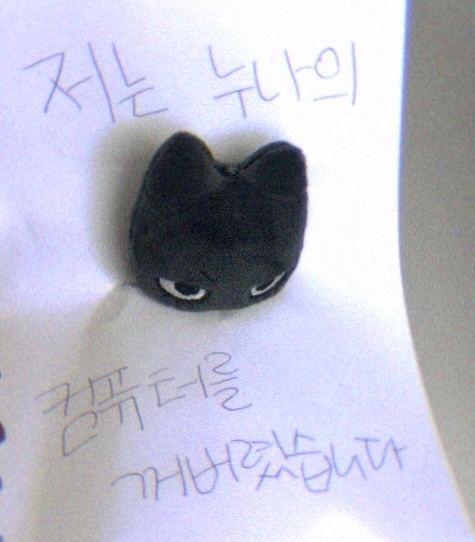 TAENYAKO (@taenyako) on Twitter photo 