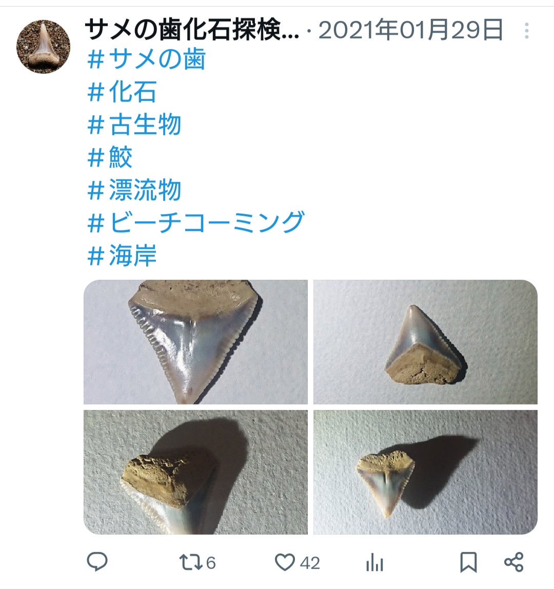 izumizame's tweet photo. ※ご注意ください

２０２１年１月２９日に投稿しました写真が無断使用されてしまいました

内容もデタラメで悪質です

現在は使用出来ないようですが本当に残念です https://t.co/WWGB7RU52j